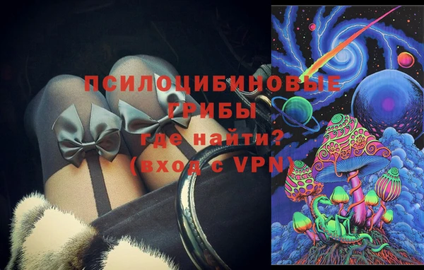 PSILOCYBIN Верхний Тагил